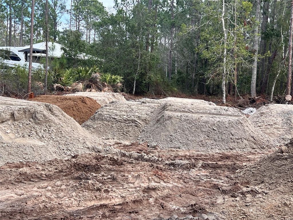 Photo of 2217 Lancewood Street, Bunnell, FL 32110 (MLS # FC316549)