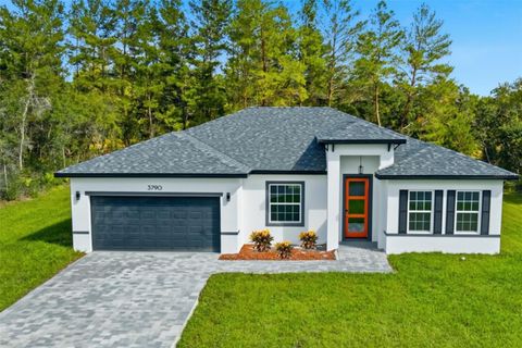 Photo of 3790 SW 161st Loop, Ocala, FL 34473 (MLS # O6356257)