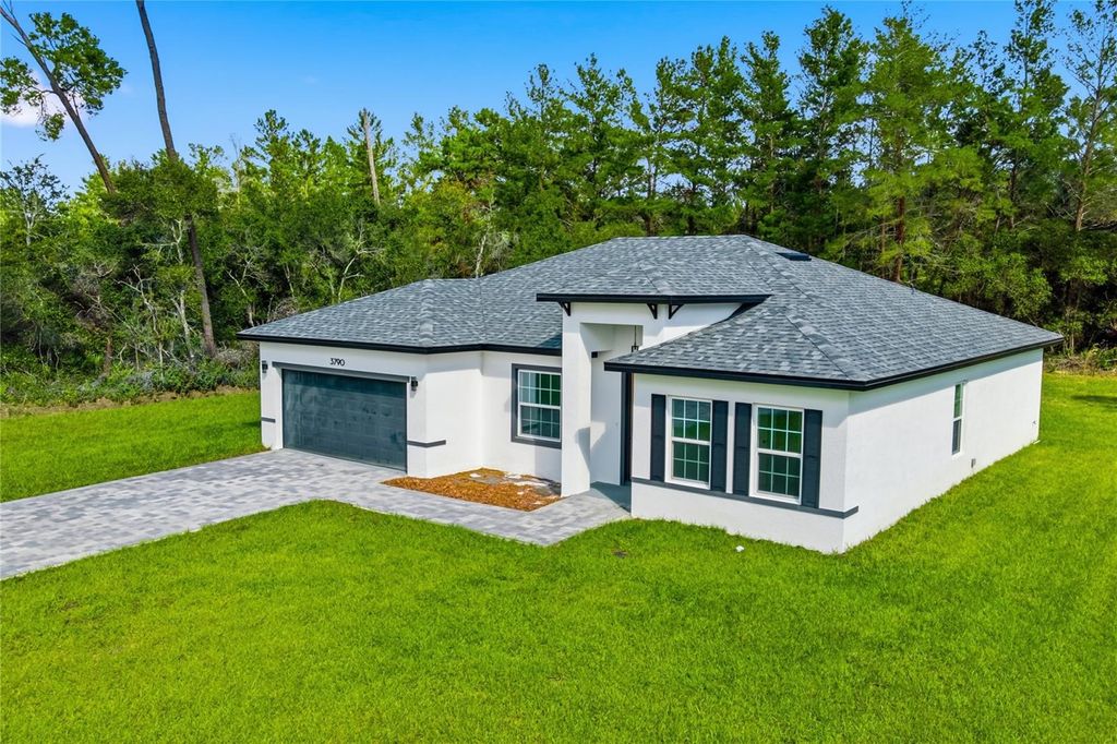 Photo of 3790 SW 161st Loop, Ocala, FL 34473 (MLS # O6356257)