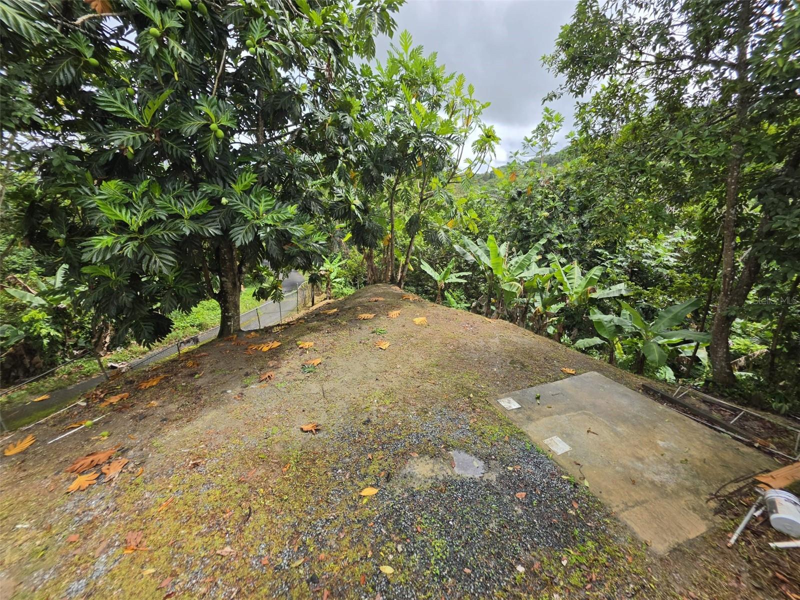 PR 9920 QUEBRADA ARENAS