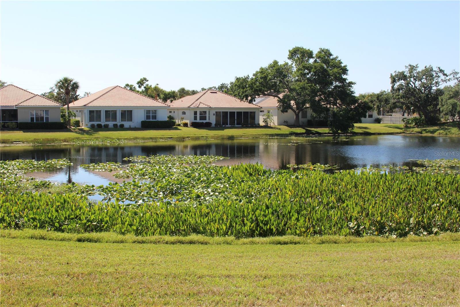 3835 ALAMANDA DRIVE