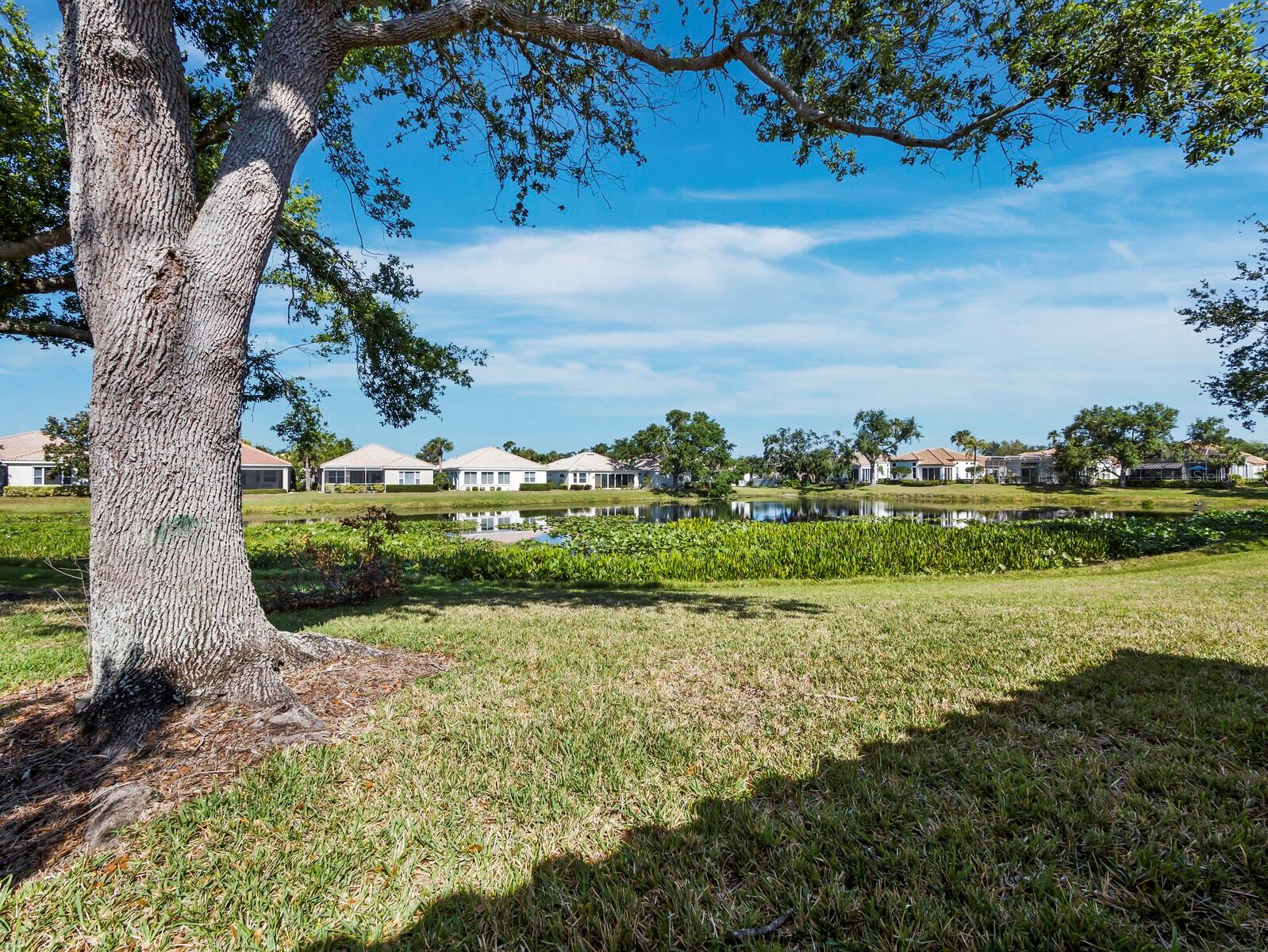 MIRA LAGO AT PALMER RANCH PH 3 - Residential