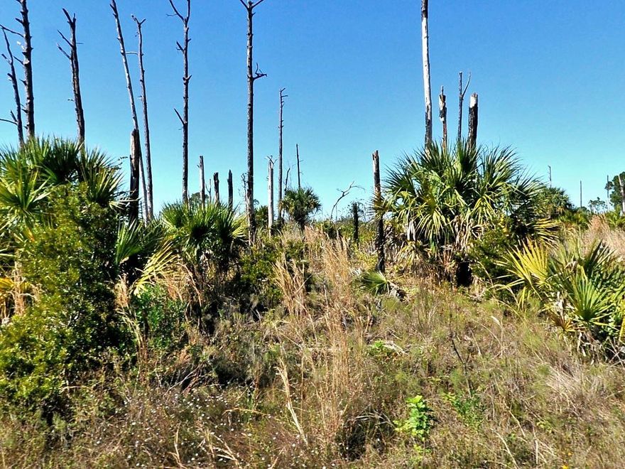 Welcome to the charming city of North Port! Build your Florida dream home exactly as you want it, in a newly developing neighborhood that is NOT in a flood zone, NOT in a HOA and NOT in a Scrub Jay Preservation area! North Port is a growing area – and what’s nicer than building on a slightly larger than average lot in an area with no Deed Restrictions, large enough for your boat and trailer and more? Want privacy but want to be close to restaurants, shopping and entertainment – it’s here! Do you want a pool or hot tub? There’s room on this lot for that, too, and you can put up a fence - a shed - a swing-set - whatever you want. It’s your dream, so dream BIG! Not quite ready to build yet? This would be a great investment too! North Port is an area that has seen major growth in the past few years and is convenient for those looking to commute to Sarasota or Fort Myers. The City of North Port offers so many community highlights including a new Water Park, Atlanta Braves Spring Training Stadium, shopping, dining, plenty of public parks, and less than a 30 minute drive to pristine Gulf Coast Beaches! Don't miss this one Drive by and make your offer today!