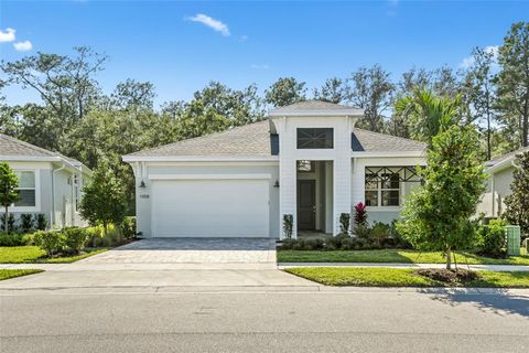 1017 LILIANA DRIVE DELAND FL 32724