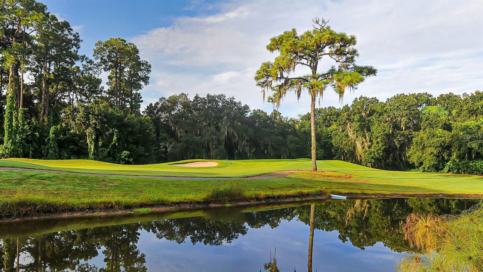 BUNKER OAKS - Residential