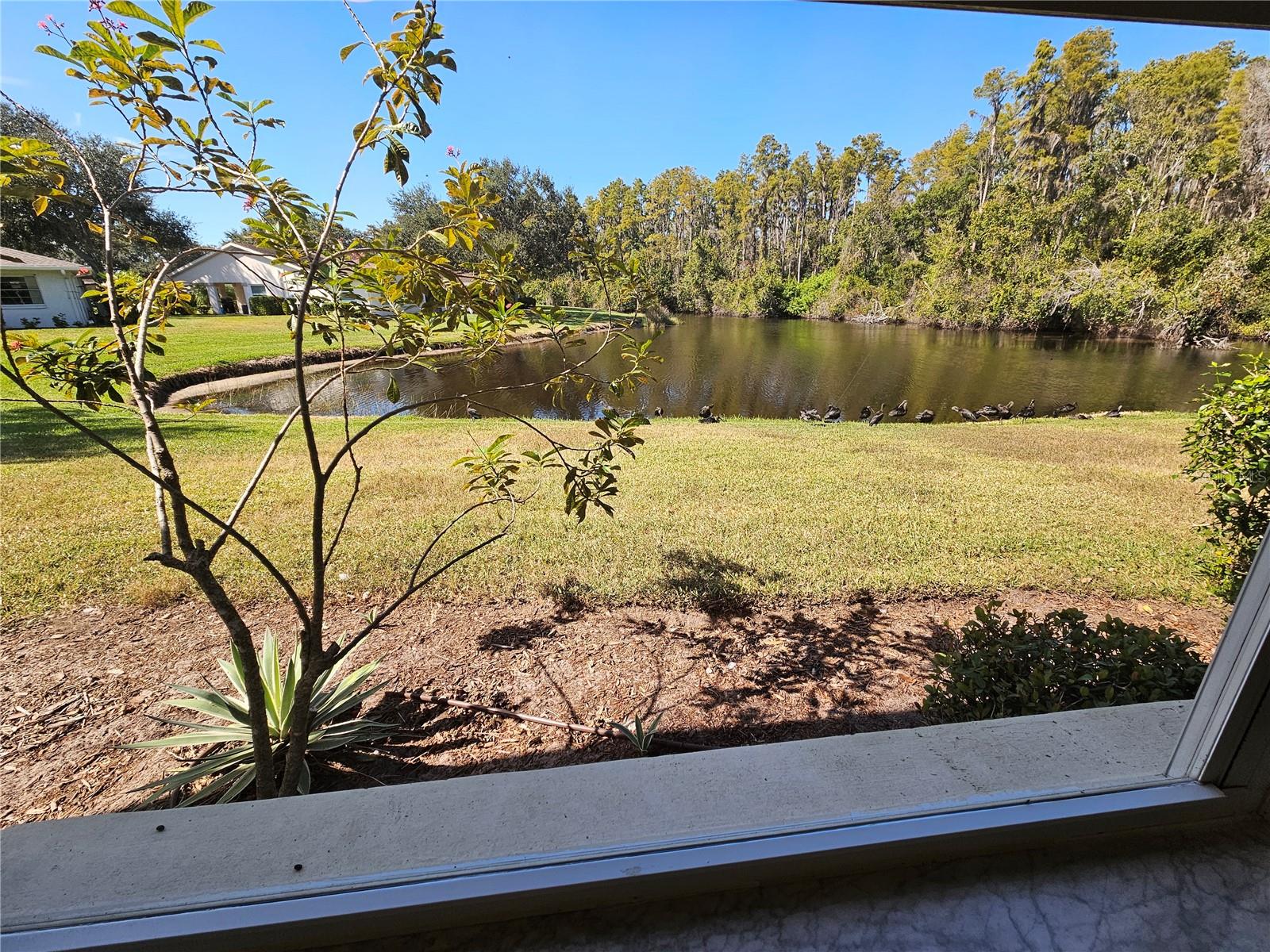 HIGHGATE II CONDO PH - Residential Lease