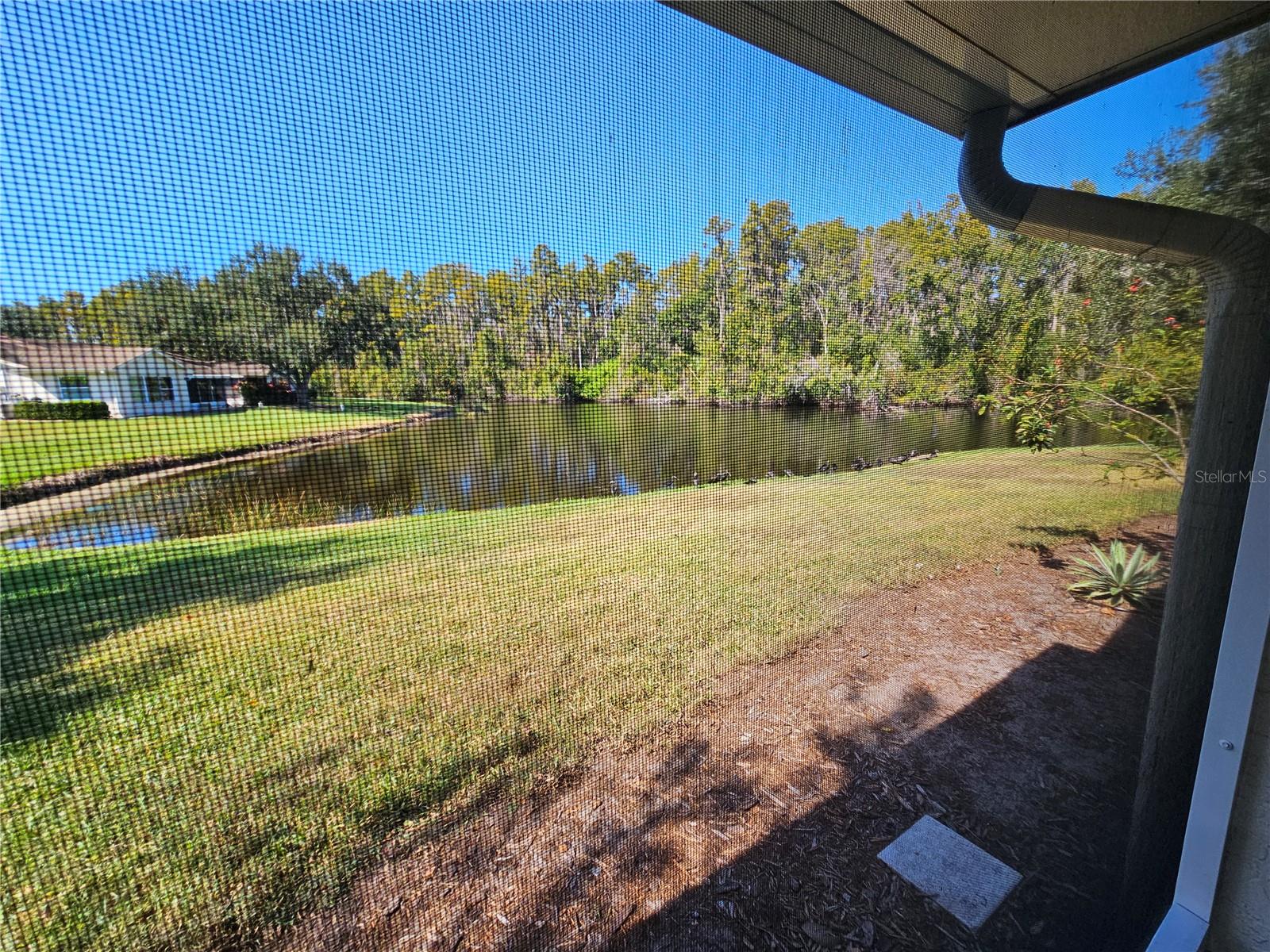 HIGHGATE II CONDO PH - Residential Lease