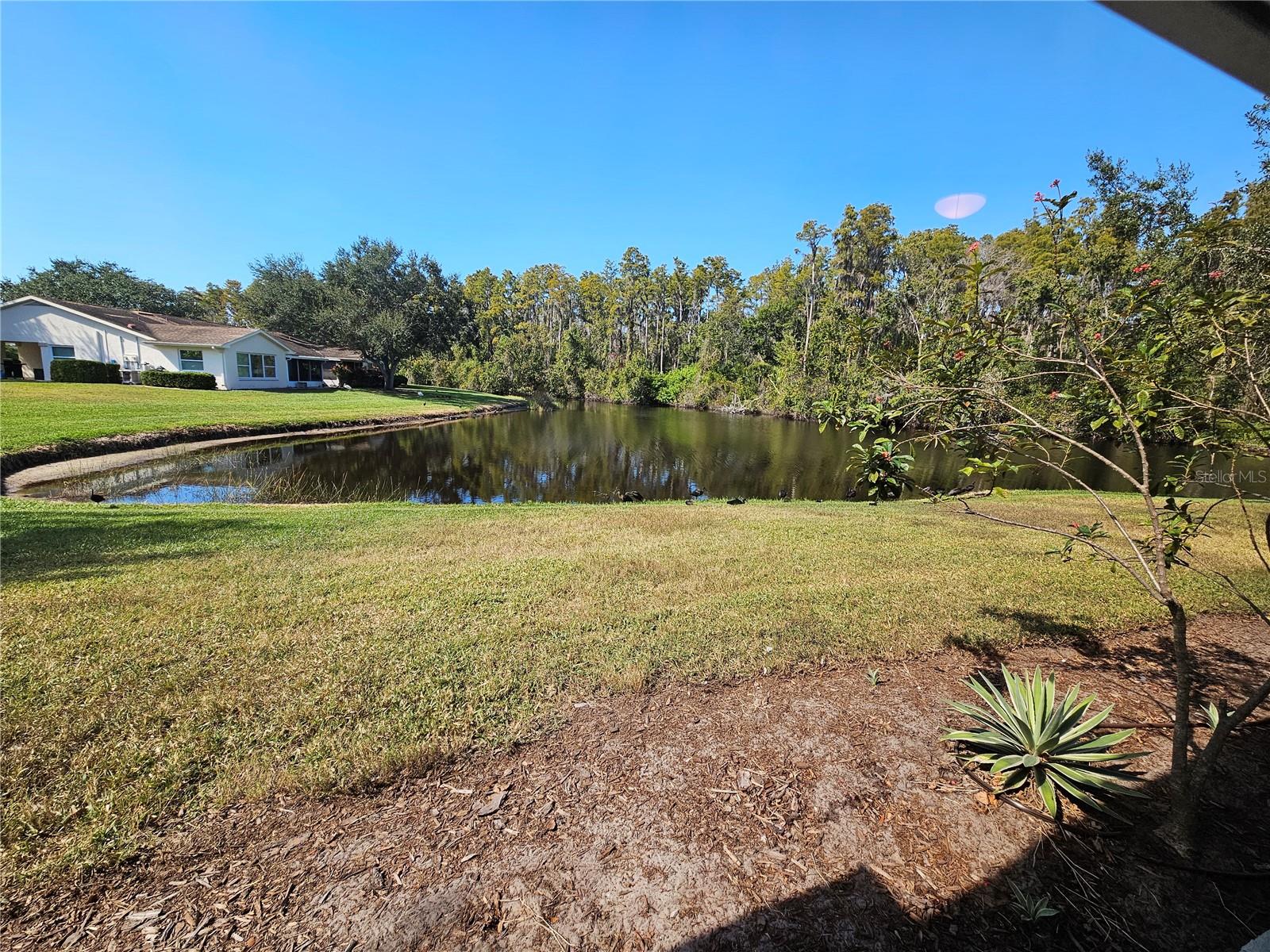 HIGHGATE II CONDO PH - Residential Lease