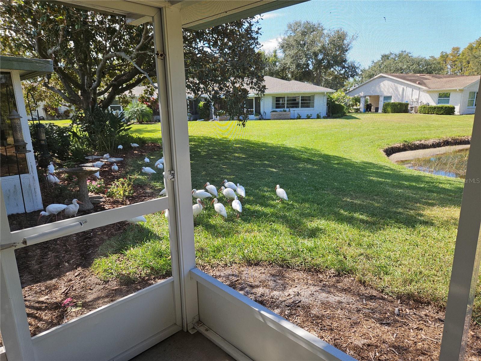 HIGHGATE II CONDO PH - Residential Lease