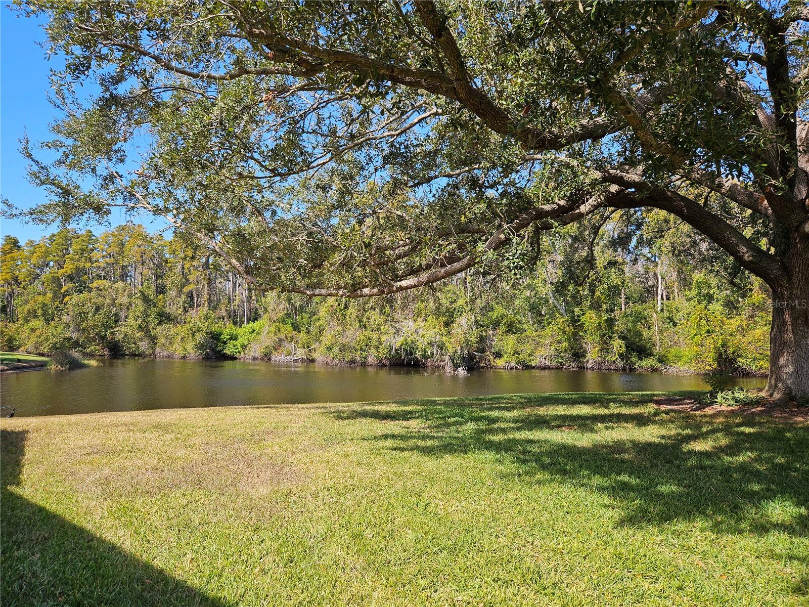 HIGHGATE II CONDO PH - Residential Lease