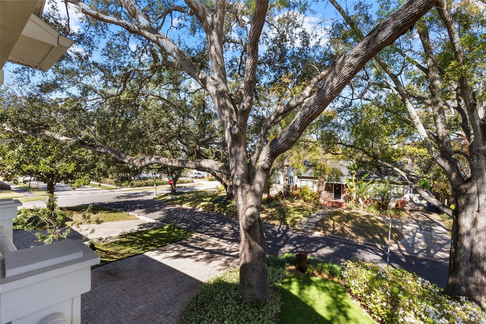 PALMA CEIA PARK - Residential