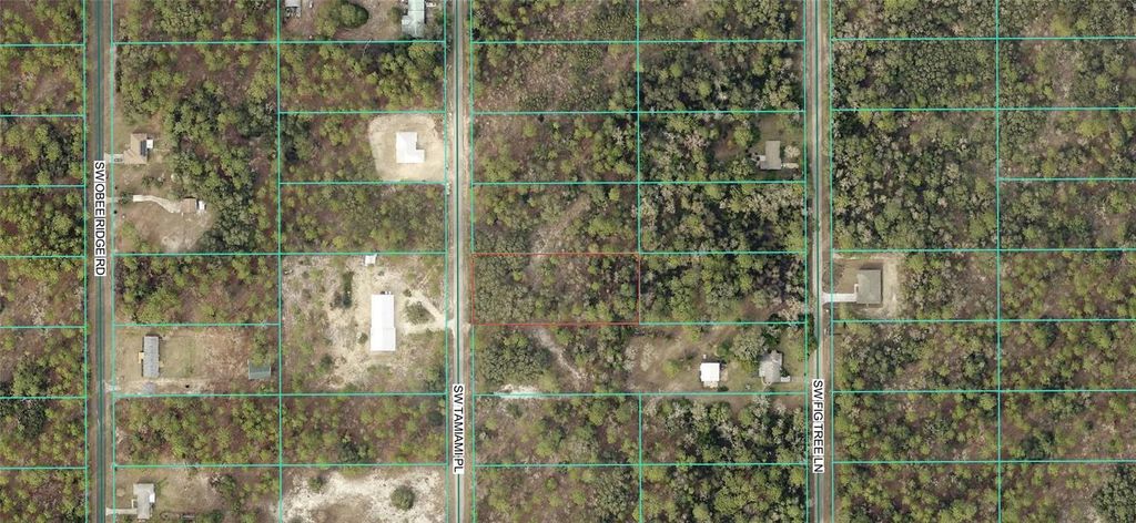 Photo of 0 Tbd SW Tamiami Place, Dunnellon, FL 34431 (MLS # OM714644)