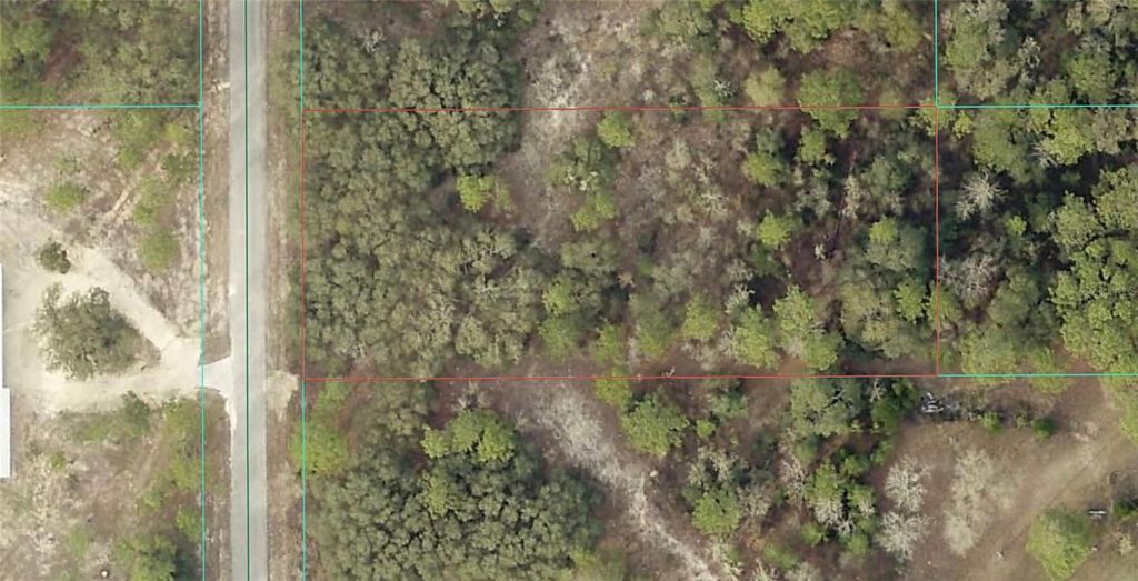 Photo of 0 Tbd SW Tamiami Place, Dunnellon, FL 34431 (MLS # OM714644)