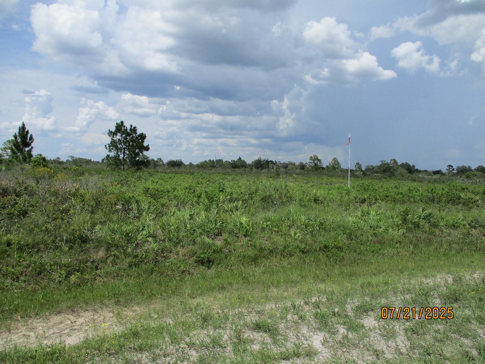 VIKING- Beautiful 1.25 Acre parcel ready for your new home or mobile home. this property has a culvert installed, The seller has a copy of the land survey. Call for more details!