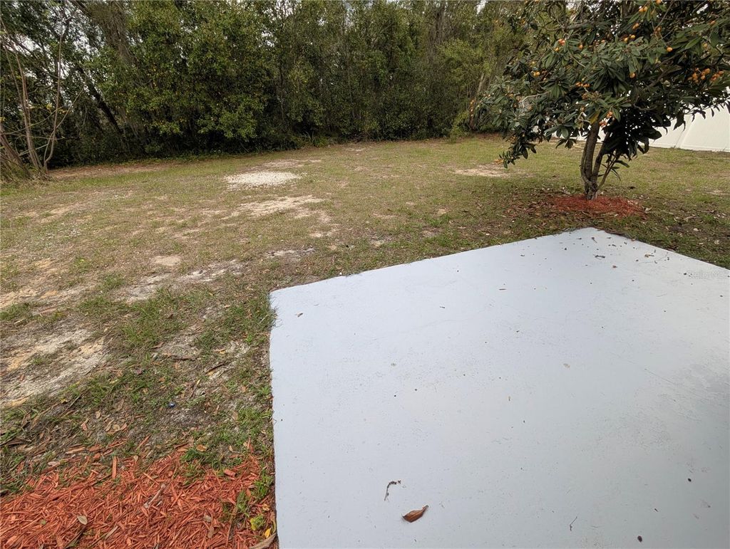 listing image 45