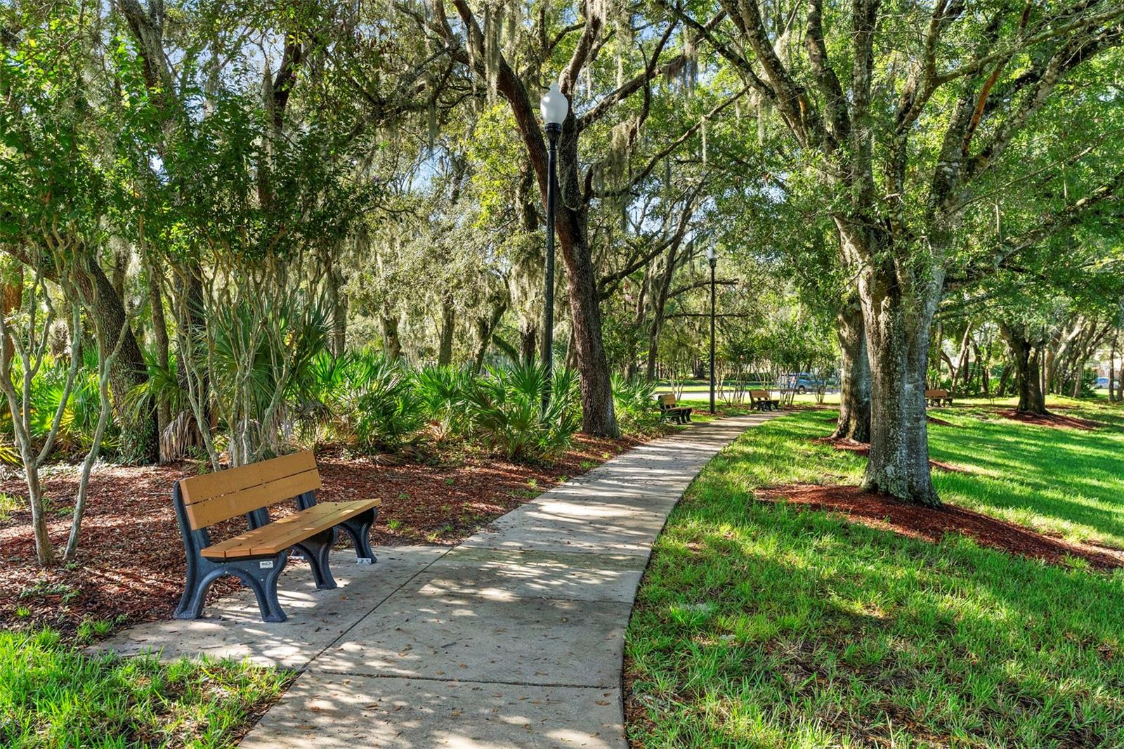 HUNTERS STAND AT CARILLON - Residential