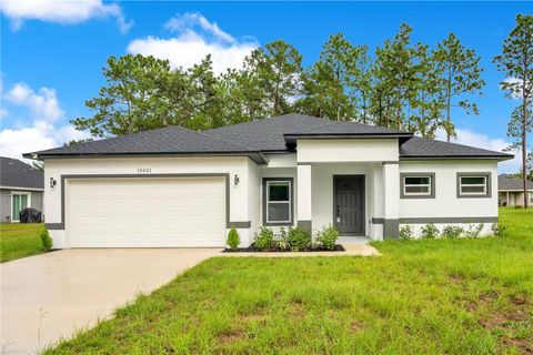 13525 SE 100TH AVENUE BELLEVIEW FL 34420