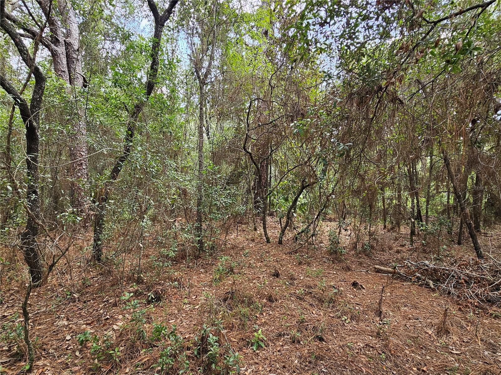 PINE RIDGE UNIT 03 - Land