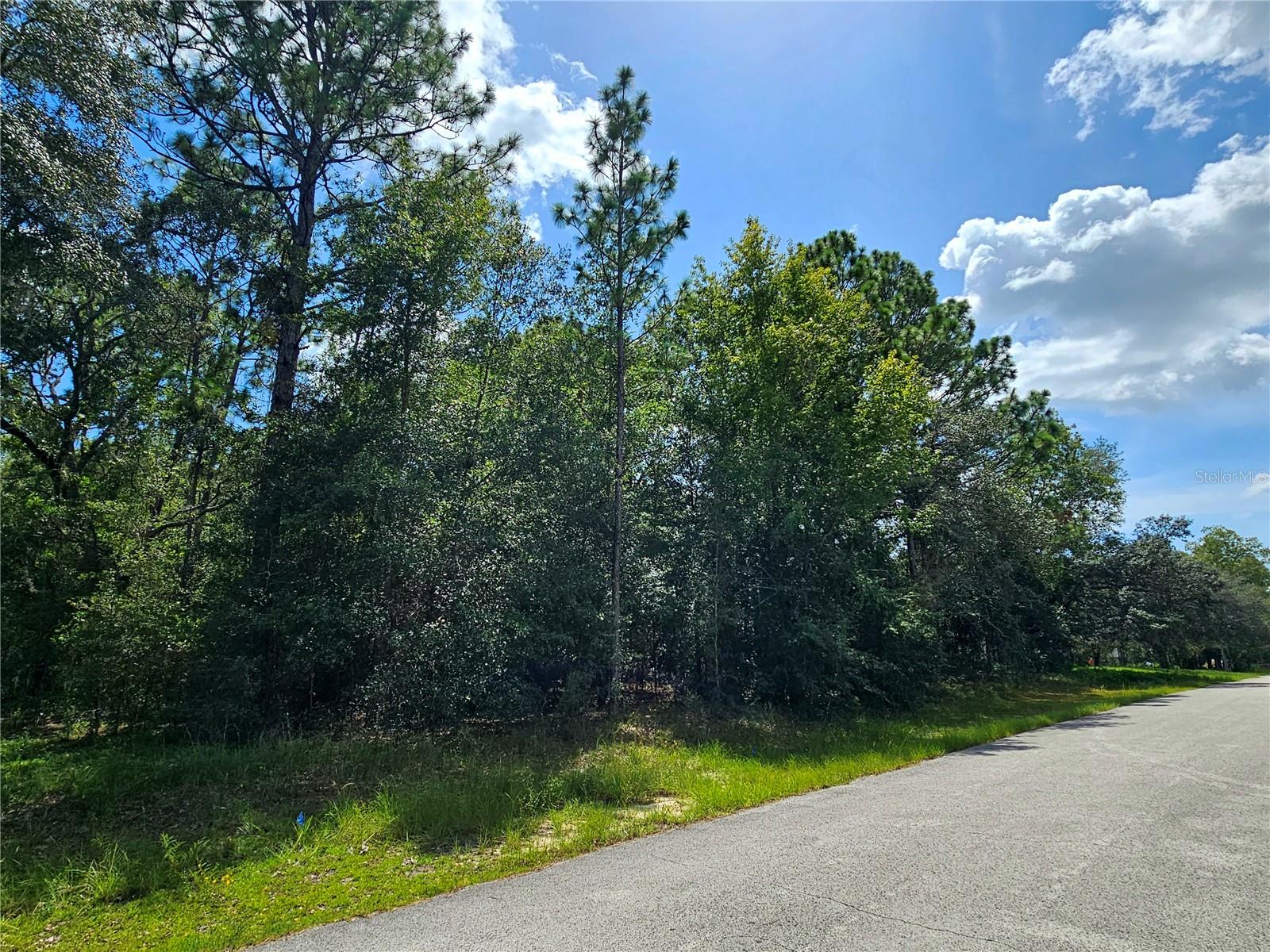 PINE RIDGE UNIT 03 - Land