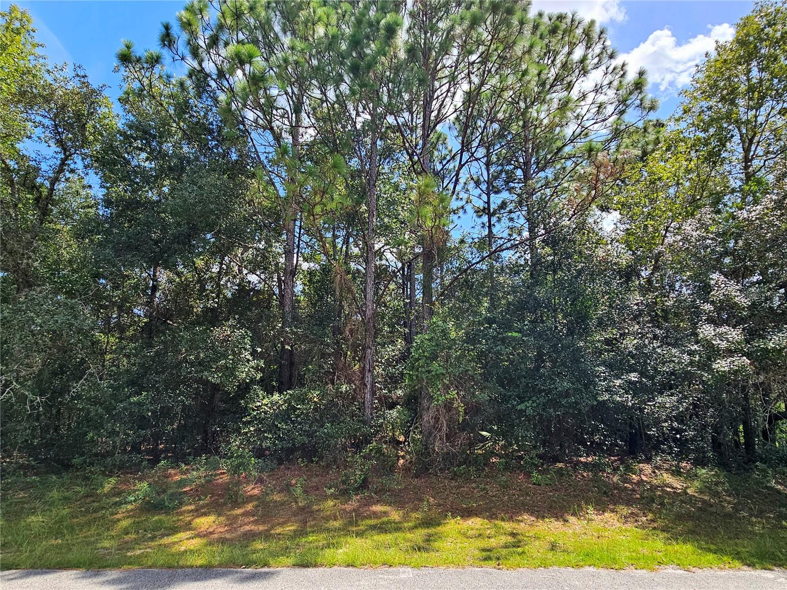 PINE RIDGE UNIT 03 - Land