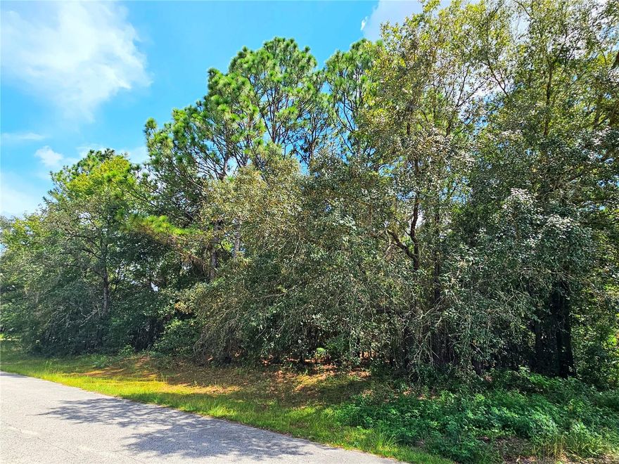 Discover an unparalleled opportunity to build your dream home in the heart of Pine Ridge Estates, an exquisite Equestrian community located in charming Beverly Hills, Florida. This remarkable 1.03-acre vacant residential lot presents the perfect location to craft your dream oasis, perfectly tailored to your vision and lifestyle located in the County Club Estates area. Embrace the tranquility of this community, offering direct access to over 28 miles of riding trails through its Equestrian Center, inviting you to explore the scenic beauty on horseback. Engage in outdoor pursuits at the RC Field, where remote-controlled aircraft take flight, or enjoy the Pine Ridge Community Center that offers pickleball, tennis, playground and a dog park. Pine Ridge thrives as a hub of social interaction, hosting various social clubs such as cooking and gardening.

Don't miss out on this exceptional opportunity that marries natural splendor, recreational delights, and a welcoming community.