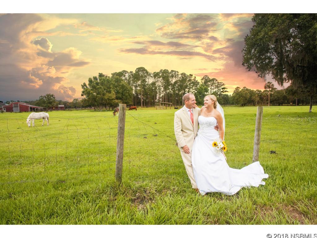 Howe & Curriers Allotment - Residential