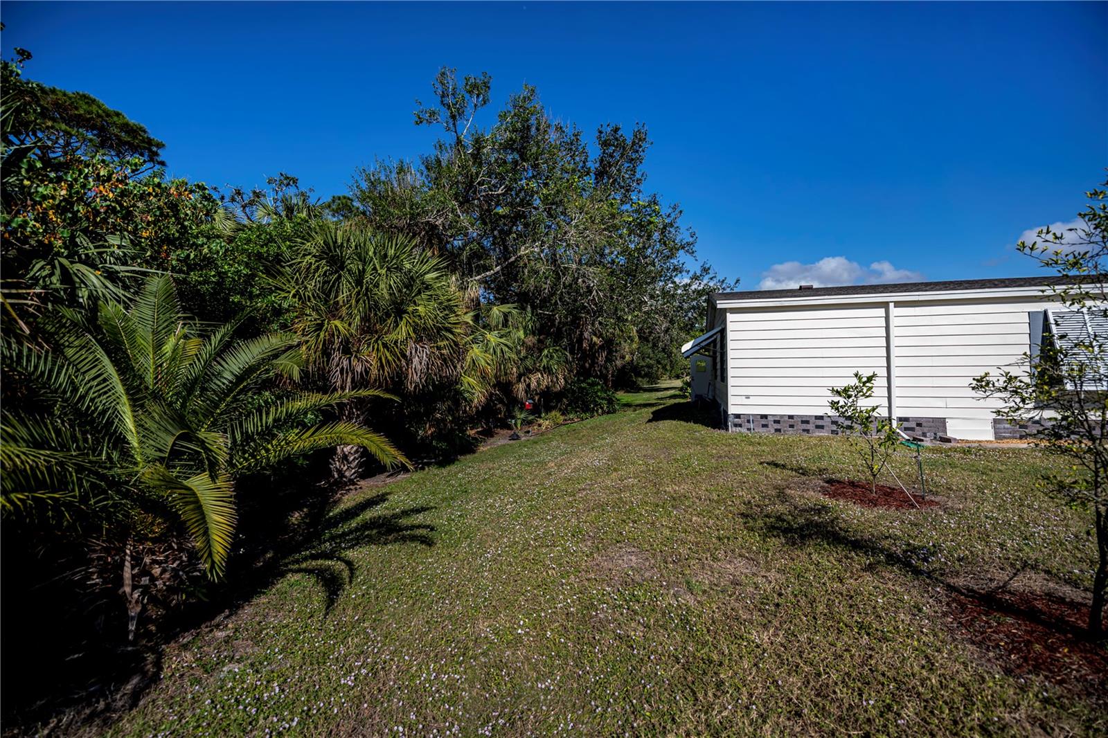 TANGERINE WOODS - Residential