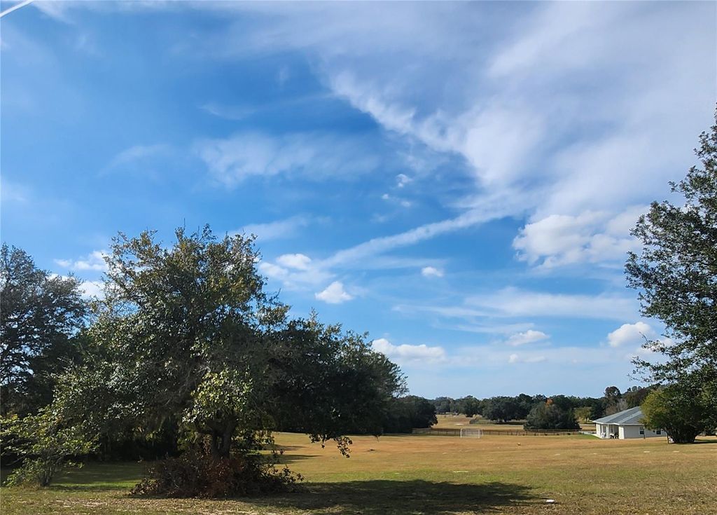 Photo of 832 E Dunbar Lane, Hernando, FL 34442 (MLS # W7880966)