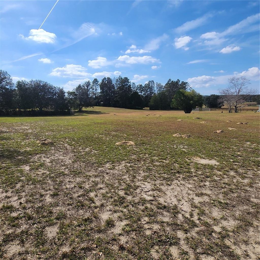 Photo of 832 E Dunbar Lane, Hernando, FL 34442 (MLS # W7880966)