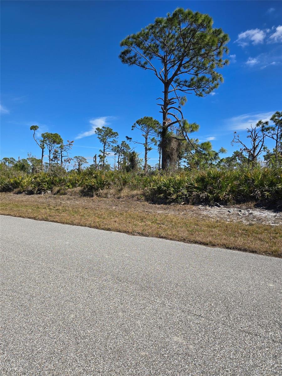 ROTONDA SANDS - Land