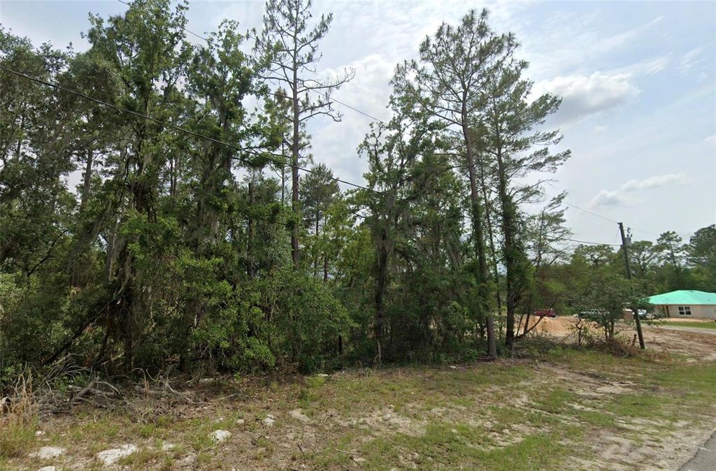 Photo of 6820 SW 153rd Place Road, Ocala, FL 34473 (MLS # TB8447377)