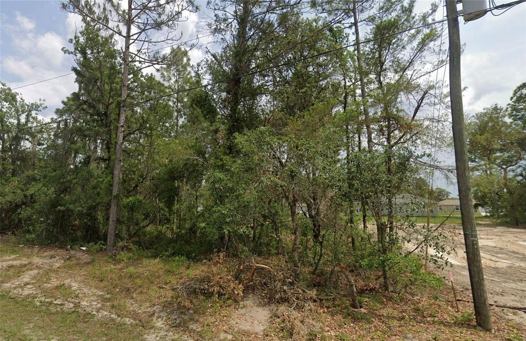 Photo of 6820 SW 153rd Place Road, Ocala, FL 34473 (MLS # TB8447377)