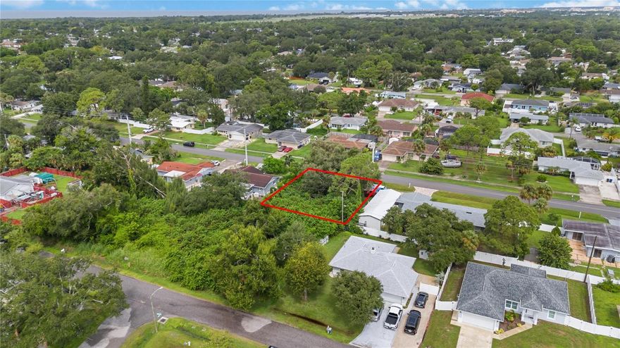 Motivated Seller! Discover the perfect opportunity to build your dream home in South Venice, just minutes away from the white sandy beaches that define Florida’s Gulf Coast lifestyle. This beautiful lot, graced by a majestic oak tree, offers shade and natural beauty while providing a tranquil retreat that’s less than ten minutes from the beach. Imagine enjoying the gentle breezes beneath the canopy of this picturesque oak as you design and create the home you've always envisioned.

The lot is situated in the heart of South Venice, a unique community that offers its residents exclusive access to the South Venice Beach Ferry, a private ferry service that transports you across the Intracoastal Waterway to a serene, secluded stretch of beach. Here, you can escape the crowds and enjoy sun-soaked afternoons on pristine shores. Additionally, the South Venice Civic Association offers a boat and kayak launch, providing easy access to the waterways for boating, fishing, or paddleboarding, perfect for those seeking a bit of adventure or relaxation on the water.

For those who enjoy staying active, newly constructed pickleball courts are a fantastic addition, offering a fun and exciting way to exercise while meeting new friends and neighbors. This popular sport is an excellent way to embrace the active, social lifestyle that South Venice promotes. The South Venice Civic Association also serves as a social hub, hosting events, gatherings, and various clubs that foster a strong sense of community and provide plenty of opportunities to make lasting connections.

Beyond the lot itself, South Venice boasts proximity to a wealth of local attractions. Just a short drive away, Venice Avenue welcomes you with its charming boutiques, delightful cafes, and an array of dining options. The vibrant downtown area exudes coastal charm and offers something for everyone, from fine dining and cultural events to weekend farmer's markets and live music. If you’re a dog lover, Brohard Paw Park—a nearby dog-friendly beach—provides a wonderful place where your furry companions can splash in the surf and enjoy the Florida sun.

For those interested in nautical pursuits, the South Venice Yacht Club is a fantastic option. Joining the club offers you access to exclusive boating and social events, creating opportunities for maritime enthusiasts to explore the area’s waterways and enjoy a close-knit, welcoming community.

In addition to the natural beauty and recreational amenities, the area is also home to cultural attractions such as the Venice Theatre, Venice Art Center, and the historic Venice Train Depot, making this location perfect for those who appreciate arts, culture, and a leisurely coastal lifestyle.

This lot is a rare find, offering a combination of natural beauty, community benefits, and a lifestyle that embraces both relaxation and adventure. Whether you envision lazy days at the beach, kayaking through local waterways, or enjoying the vibrant culture of Venice, this South Venice lot offers endless possibilities for your future home. Secure your slice of paradise today and start living the life you’ve always dreamed of! Whether you are considering building now or in the future, this lot is a solid investment  and offers the ultimate beach lifestyle while still located in an X Flood Zone (lowest risk, flood insurance not required). Please visit website with lot video at https://hub.allanglesrem.com/425-W-Seminole-Dr/idx