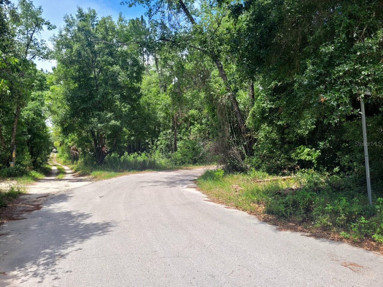 TROPICAL DRIVE