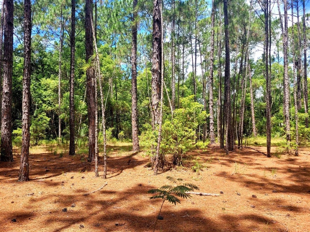 Photo of Tropical Drive, Eustis, FL 32726 (MLS # O6450550)