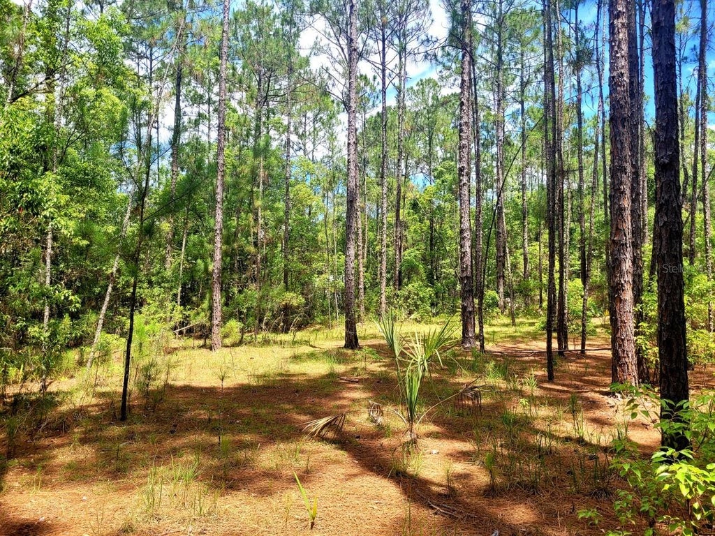 Photo of Tropical Drive, Eustis, FL 32726 (MLS # O6450550)