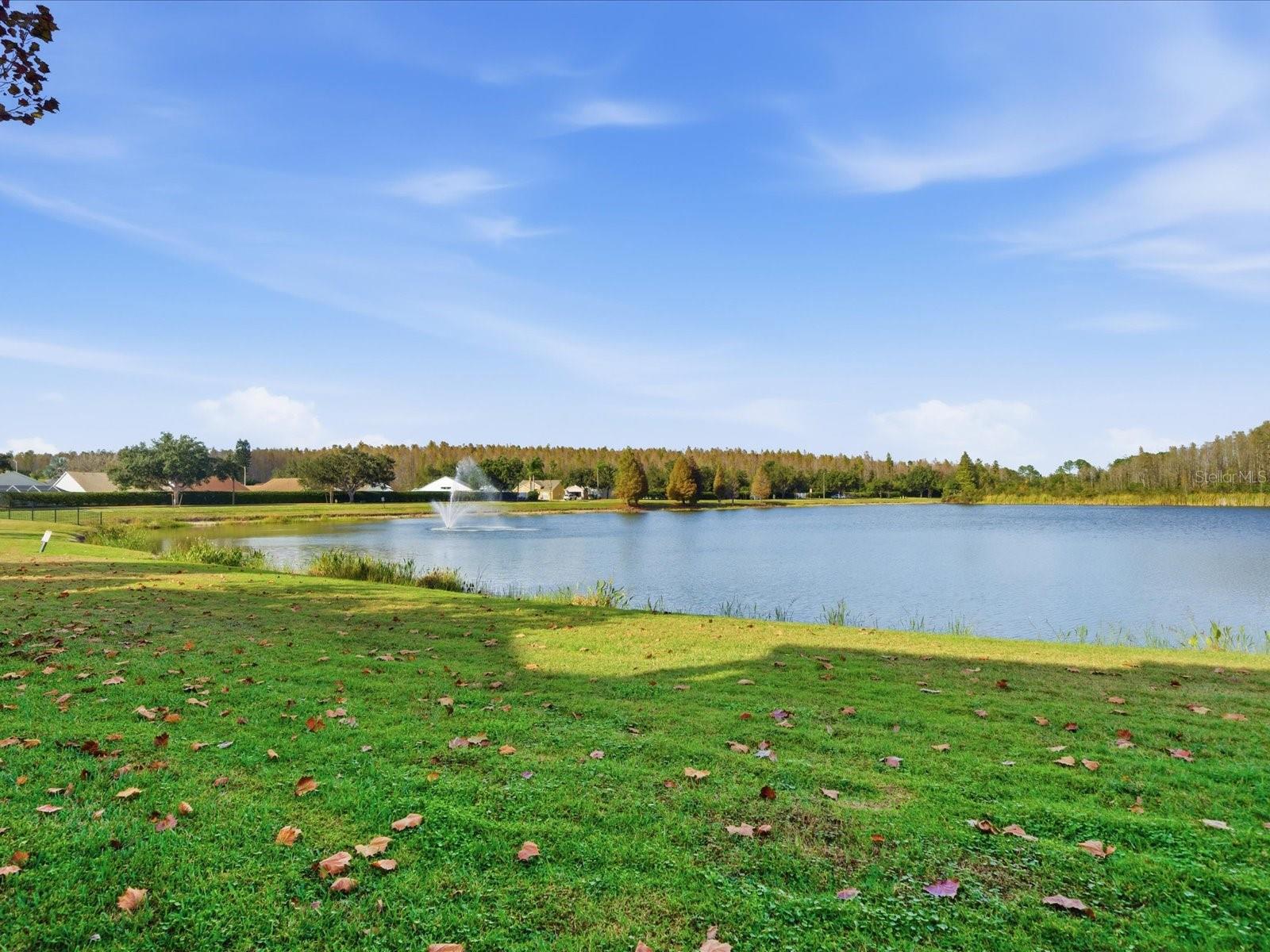 LAKEVIEW AT CALUSA TRACE - Residential