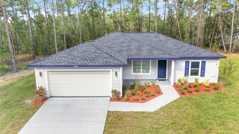 Photo of 3865 SW 177th Place, Ocala, FL 34473 (MLS # OM706280)