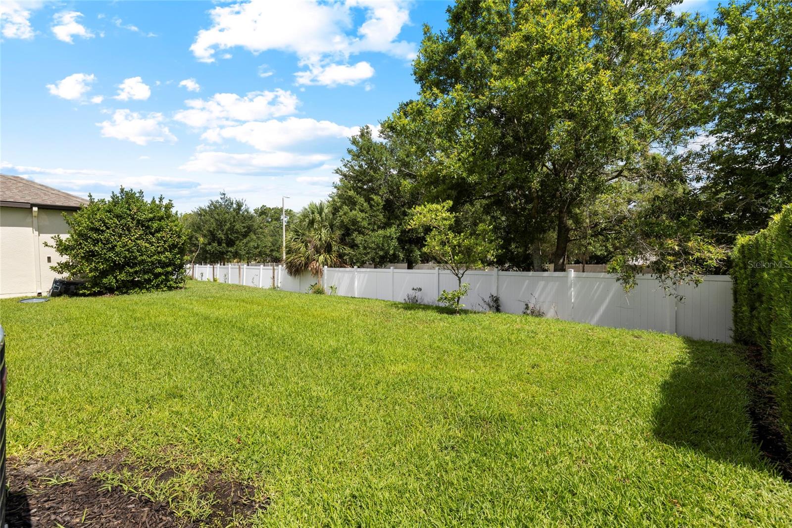 RESERVE AT CITRUS PARK - Residential
