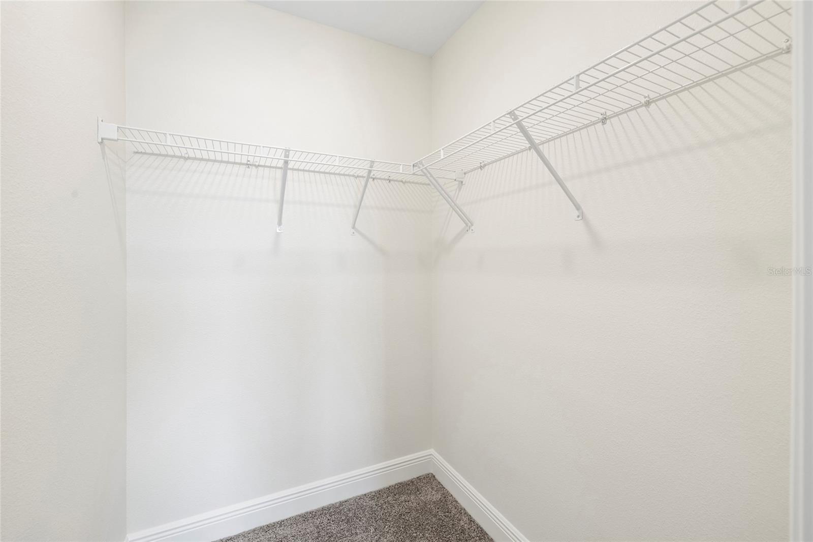 RESERVE AT CITRUS PARK - Residential