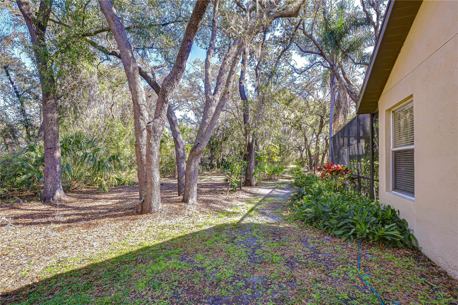 FISH HAWK TRAILS - Residential