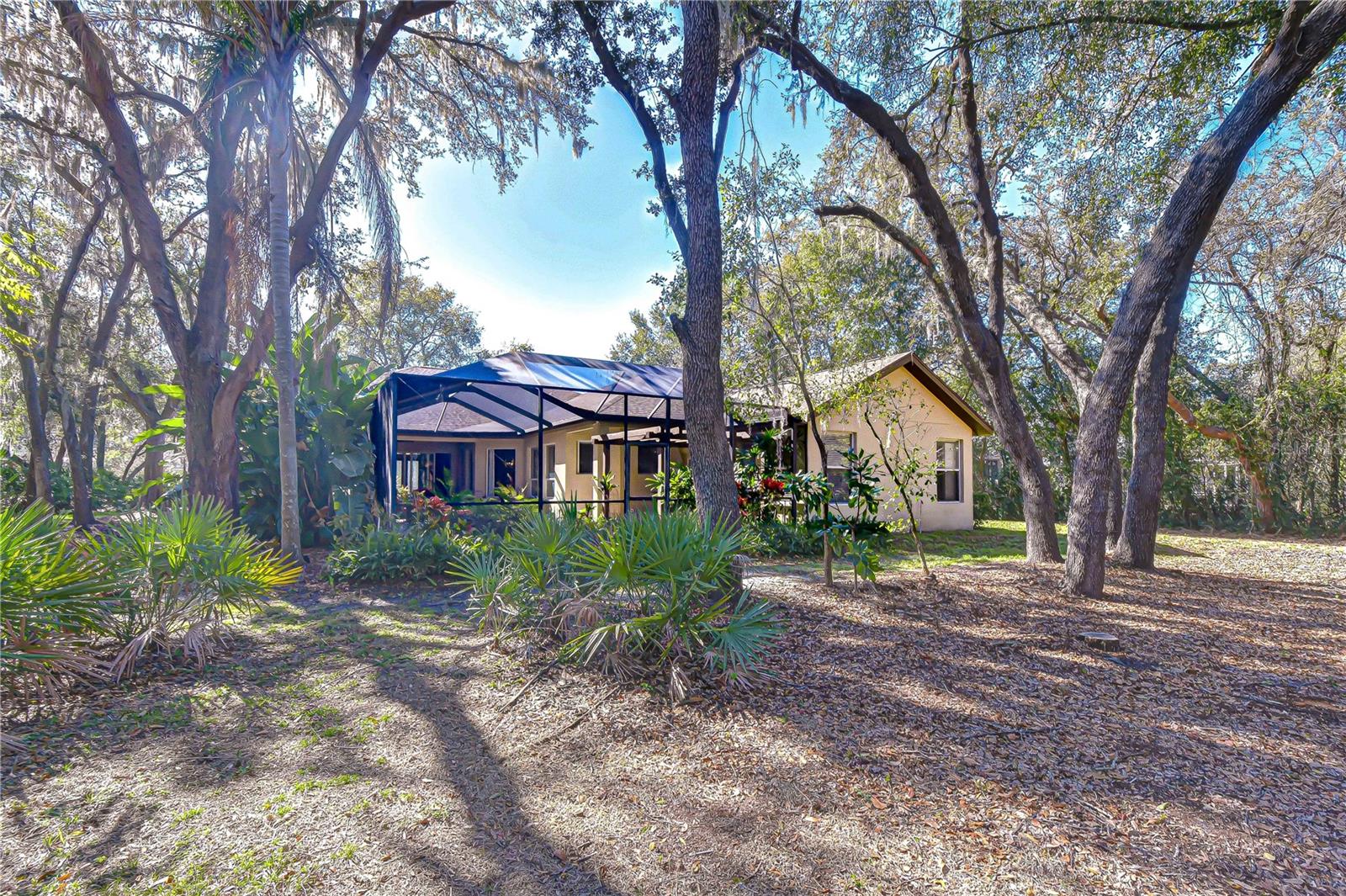 FISH HAWK TRAILS - Residential