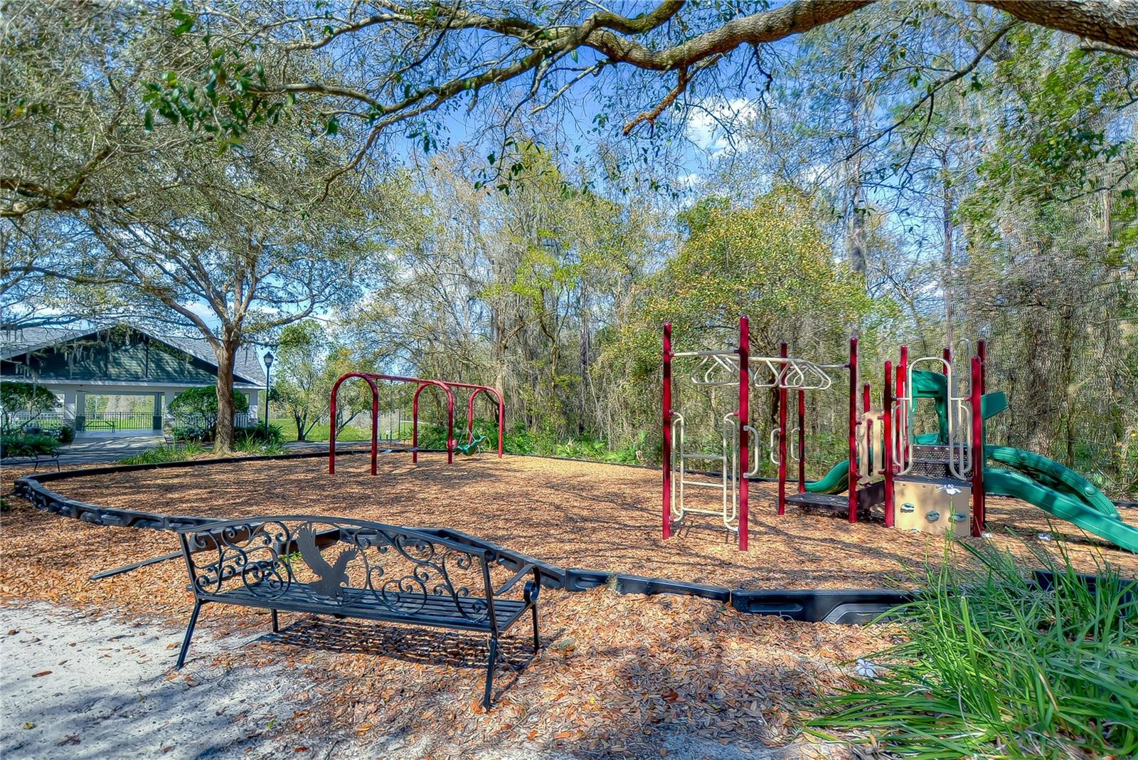 FISH HAWK TRAILS - Residential