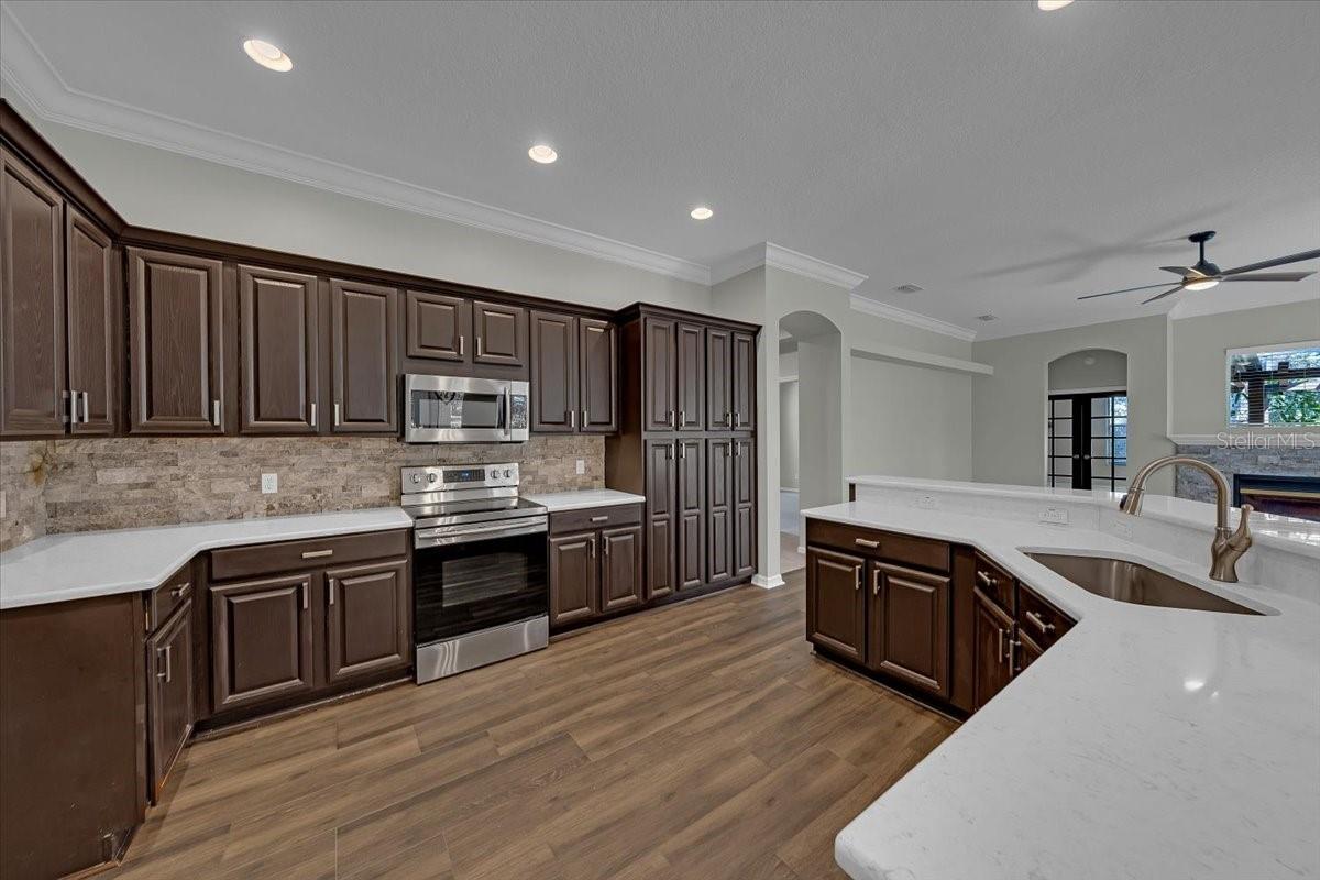 FISH HAWK TRAILS - Residential