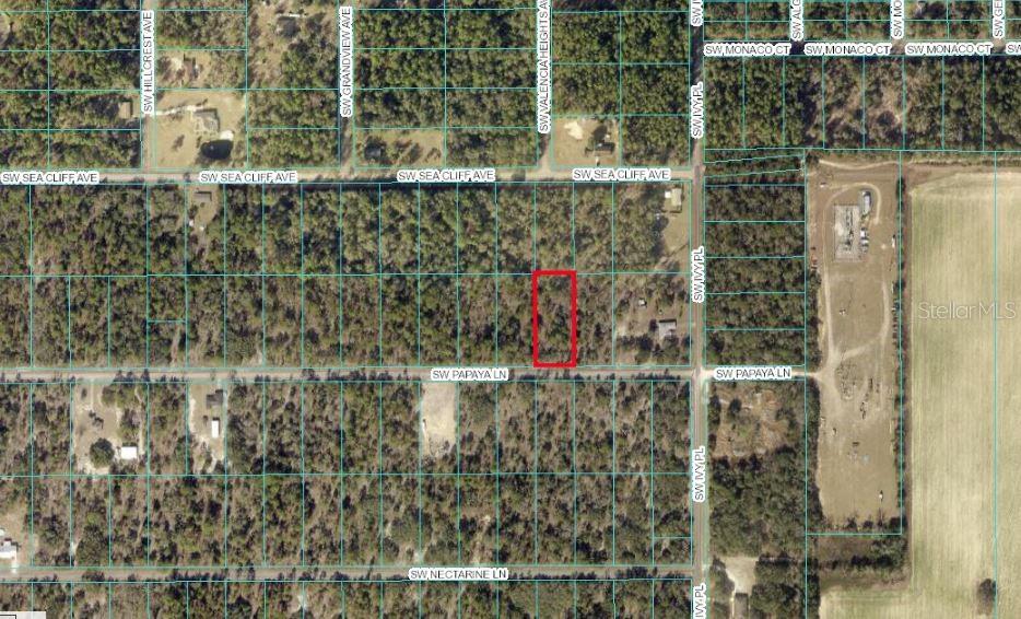 Photo of Tbd SW Papaya Lane, Dunnellon, FL 34431 (MLS # OM733449)