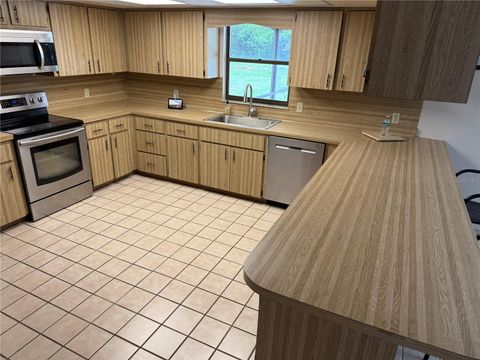 Tiny photo for 2747 County Road 615, Bushnell, FL 33513 (MLS # G5099351)