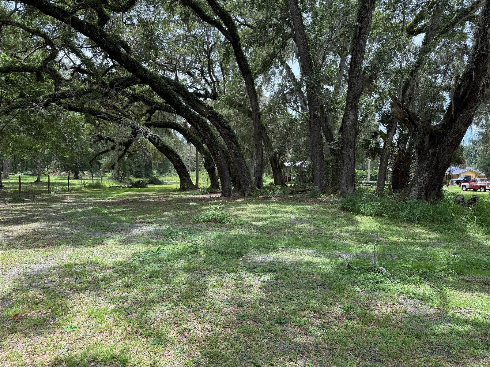SUMTER GARDENS 07 - Residential