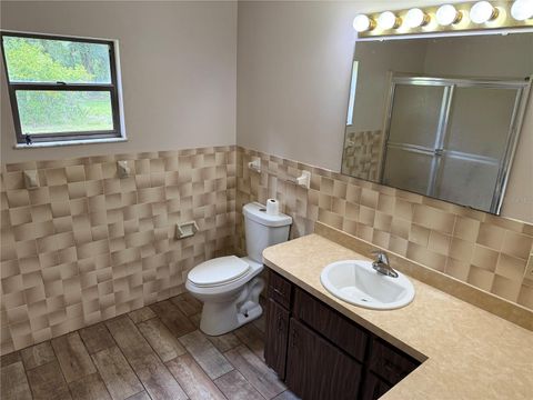 Tiny photo for 2747 County Road 615, Bushnell, FL 33513 (MLS # G5099351)