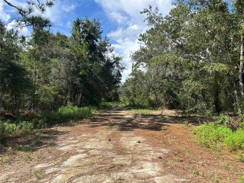 Tiny photo for 1631 NE 123rd Terrace, Williston, FL 32696 (MLS # OM731389)