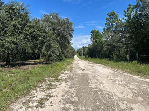 Tiny photo for 1631 NE 123rd Terrace, Williston, FL 32696 (MLS # OM731389)